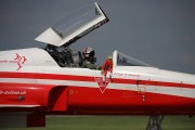 381IMG_1174