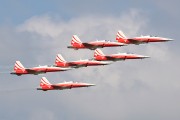 382IMG_8254
