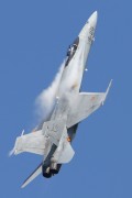 460IMG_8740