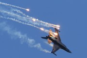 541IMG_9294