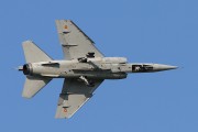 561IMG_9369