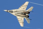 600IMG_7389