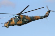 603IMG_7342