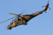 603IMG_7373