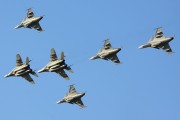 603IMG_8556
