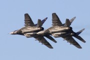 603IMG_8568