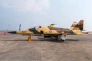 250IMG_9567