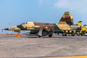 250IMG_9622