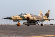 250IMG_9745