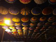 380IMG_1666