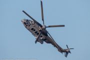 081IMG_8146