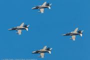 201IMG_9195