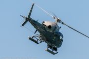 544IMG_9732