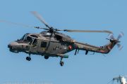 545IMG_7852