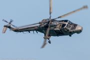 547IMG_9763