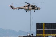 556IMG_9863