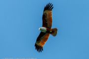 760IMG_9641