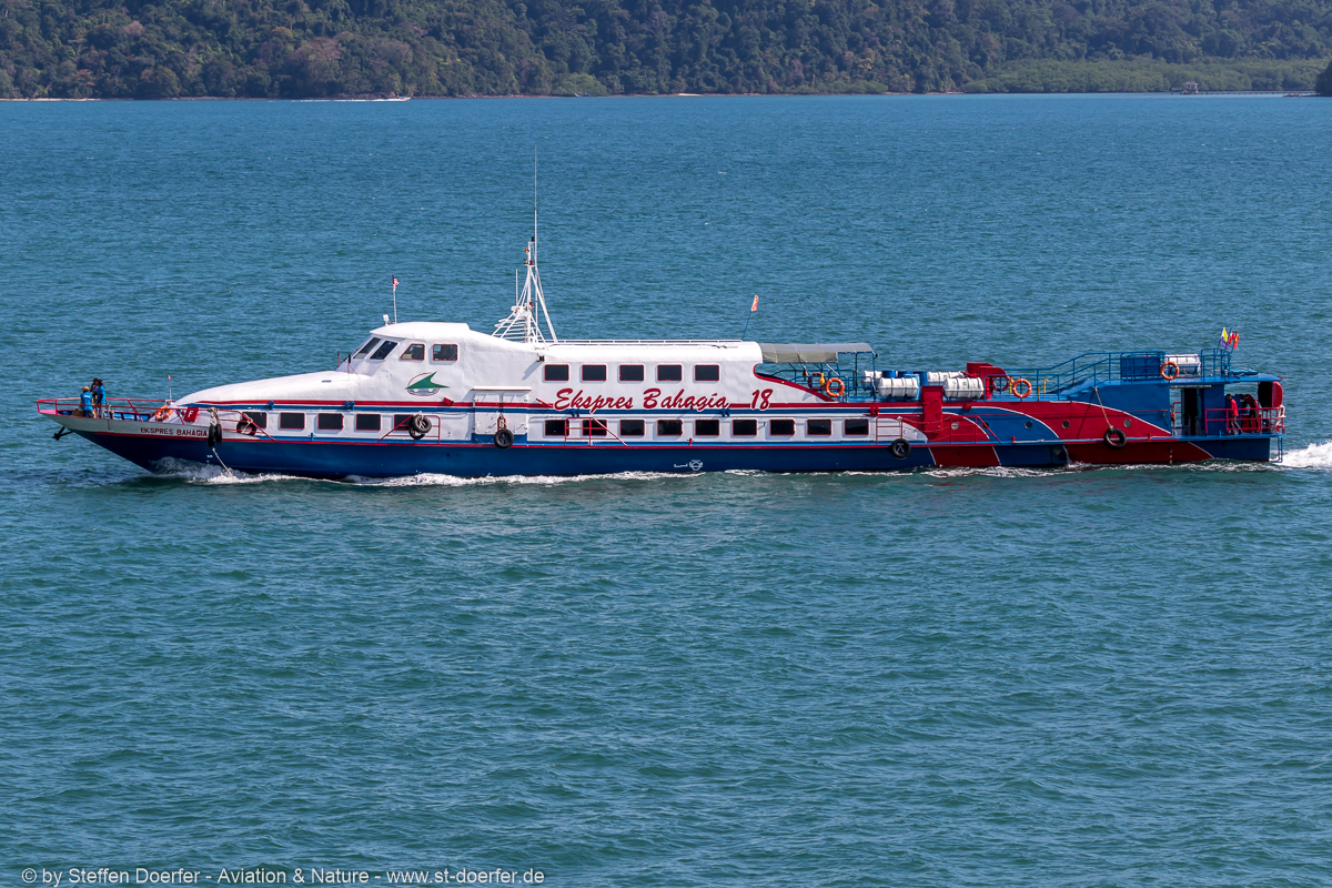 768IW5A7643