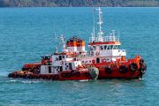 768IMG_2745