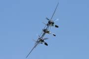 340IMG_8877