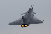 240IMG_6355