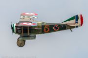241IMG_5034