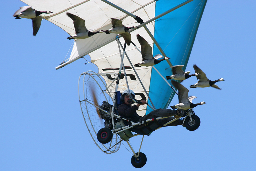 160IMG_7633