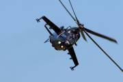 080IMG_7308