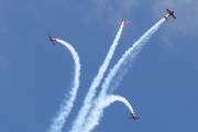 110IMG_7454