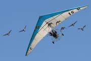 160IMG_7642