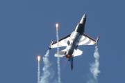 241IMG_8119