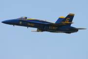 261IMG_8242