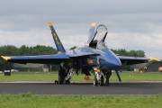 262IMG_6993