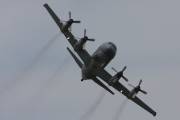 260IMG_8507