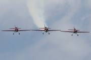 270IMG_7959