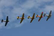 281IMG_7687