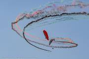 252IMG_8491