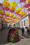 940-IMG_20230616_113338