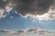 564IMG_6152