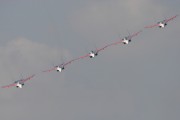 07-08IMG_0232