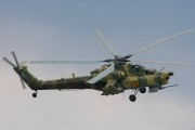17IMG_0049