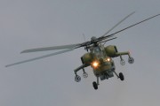 17IMG_0080
