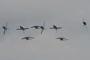 19-18IMG_9982
