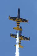 213IMG_7498