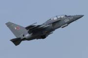 250IMG_5901