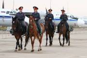 393IMG_1727