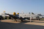 396IMG_4386