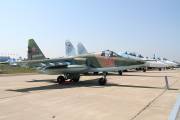 396IMG_4583