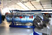 415IMG_6855