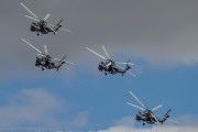 260IMG_2062
